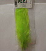 goose shoulders chartreuse  Super Fly